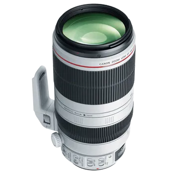 Canon EF 100-400mm f/4.5-5.6L IS II USM