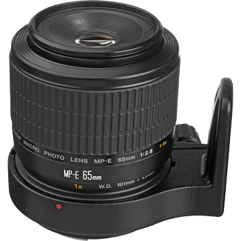 Canon MP-E 65mm f/2.8 1-5x Macro